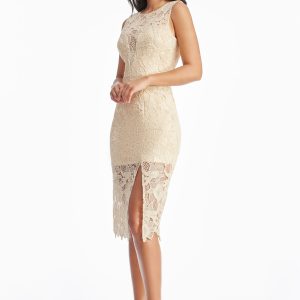 Avianna Rose Lace Dress