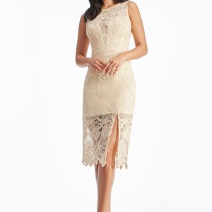 Avianna Rose Lace Dress