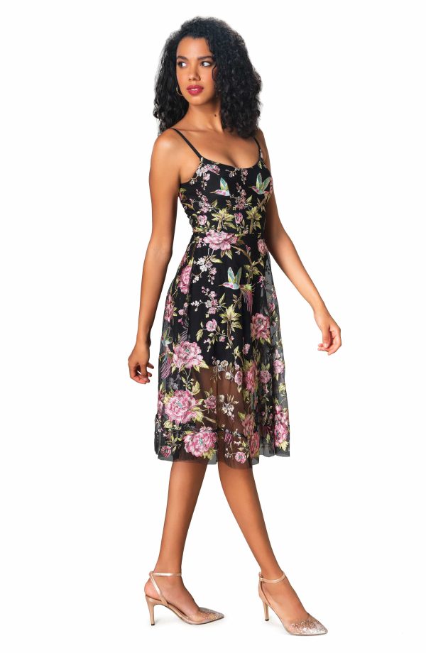 Umalia Hummingbird Embroidery Dress